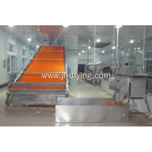 Mesh belt drying/dryer machine